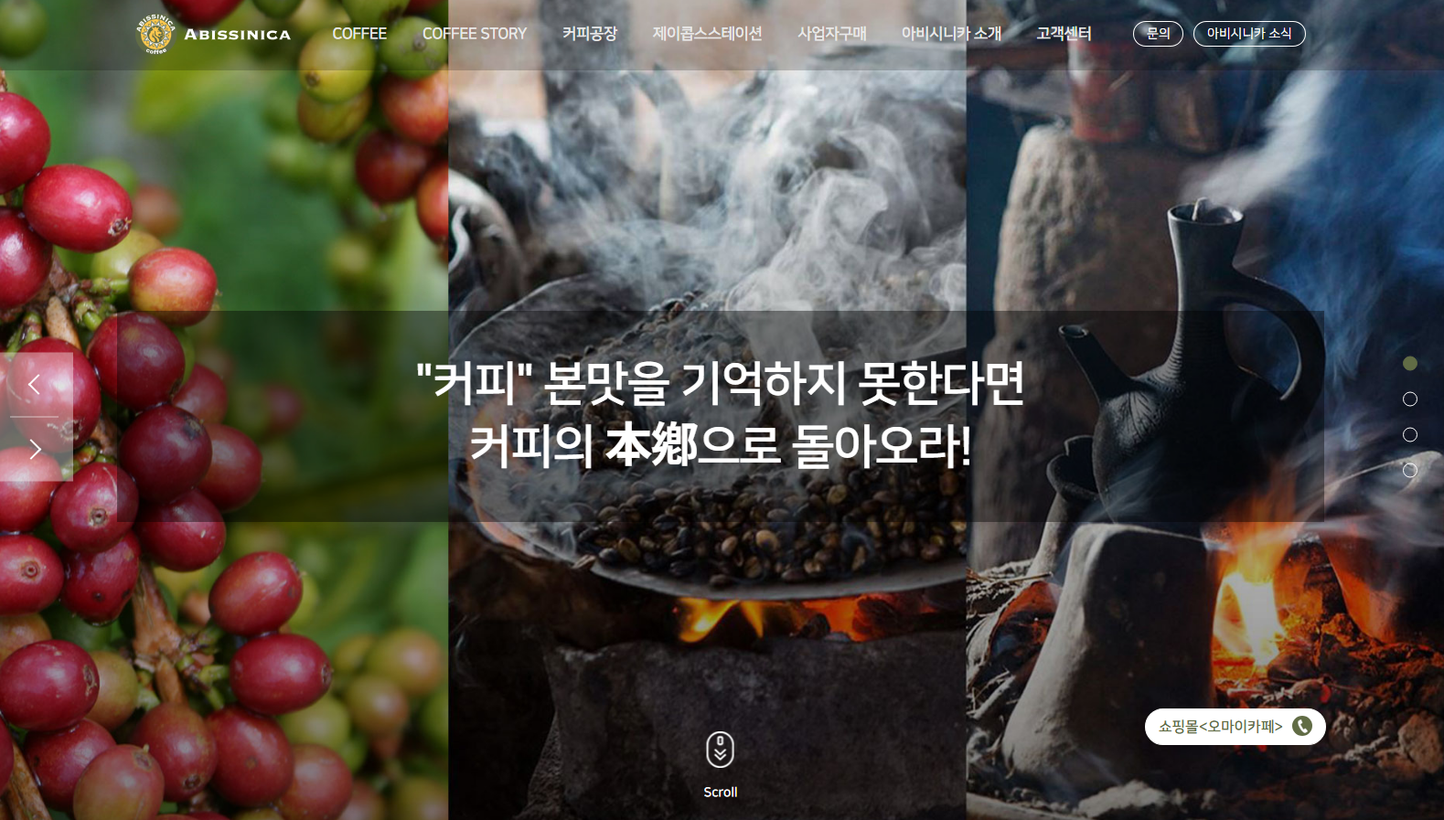 아비시니카 홈페이지 구축
